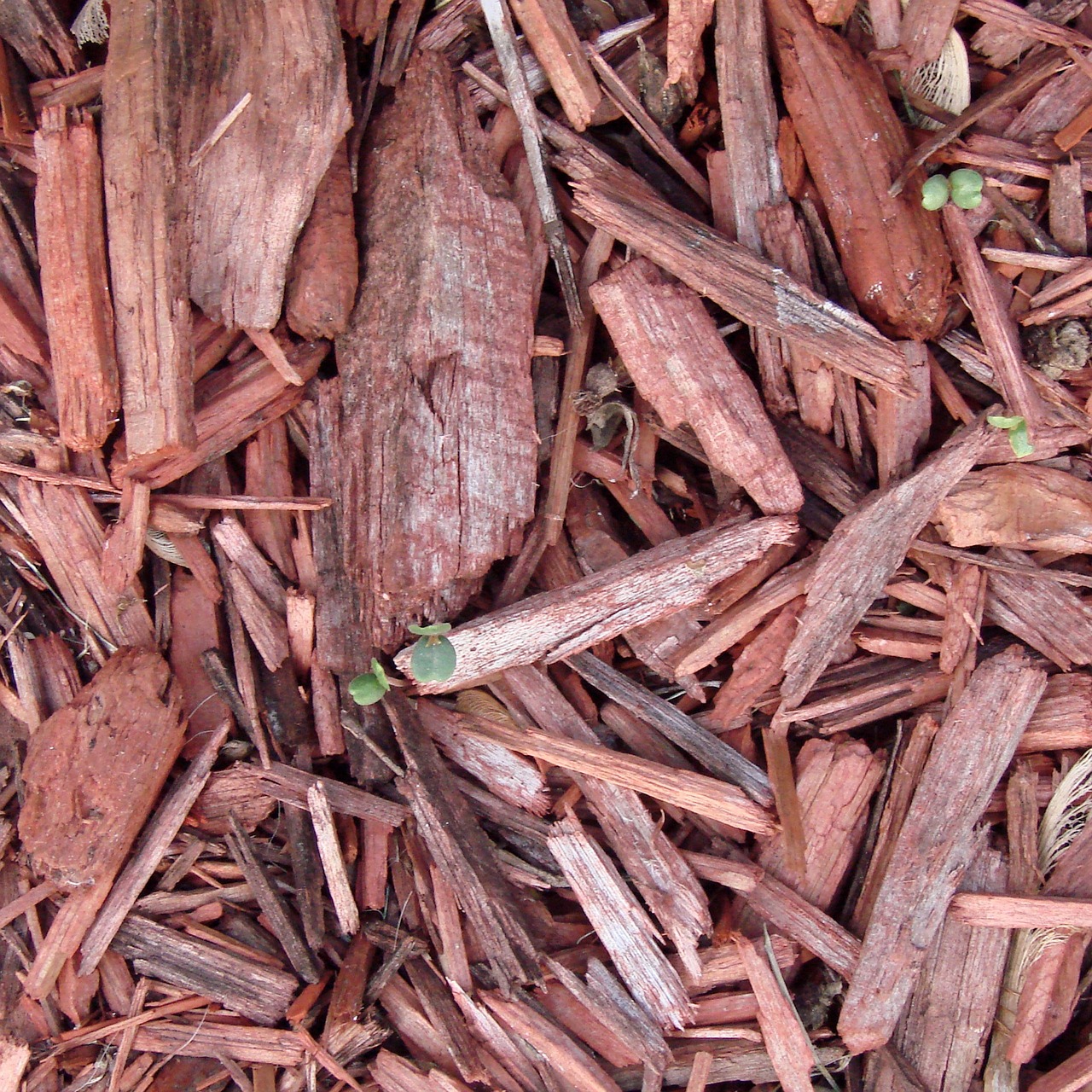 How to Start a Compost Bin - A Step-by-Step Guide